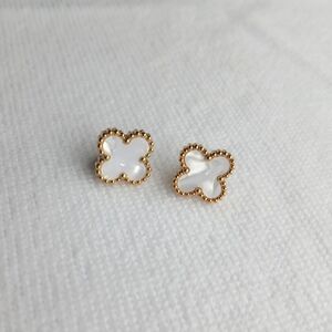 18k Stainless steel earrings
